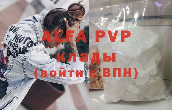 гашик Алзамай