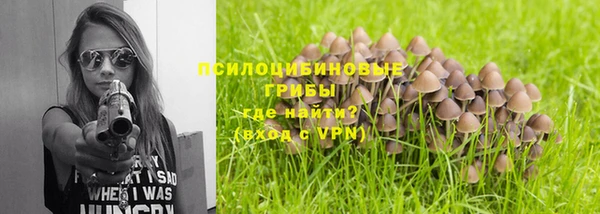 гашик Алзамай