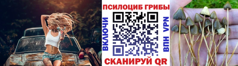 Псилоцибиновые грибы MAGIC MUSHROOMS  Отрадная 